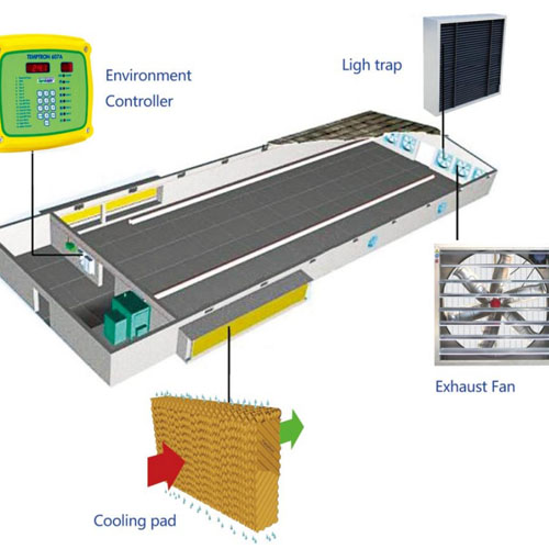 poultry farming Environment ventilation Controller