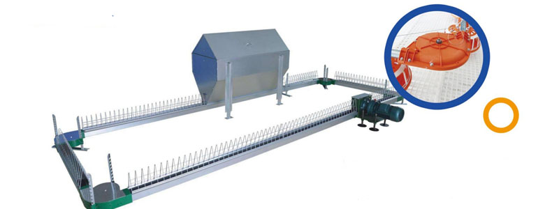 poultry farming Equipment Breeder Ground System chain feeding and nipple drinking system Breeder Feeding System​