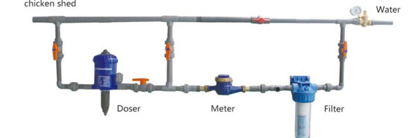 poultry farming Equipment Broiler Ground System pan feeding and nipple drinking system Automatic Nipple Drinking System