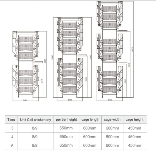 poultry farming Equipment Layer cages H-TYPE